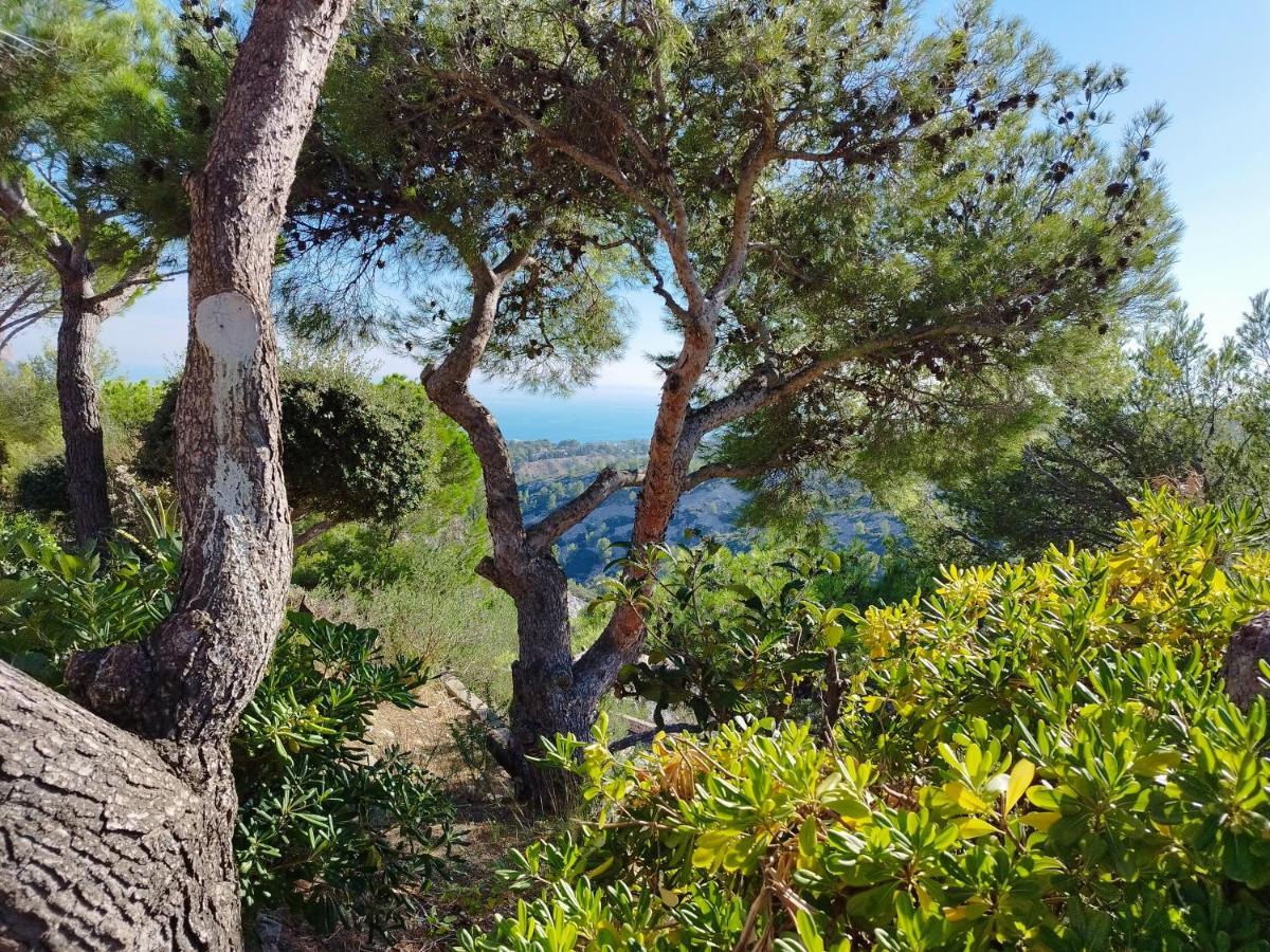 Sweet Calanque - Host Provence Appartement Cassis
